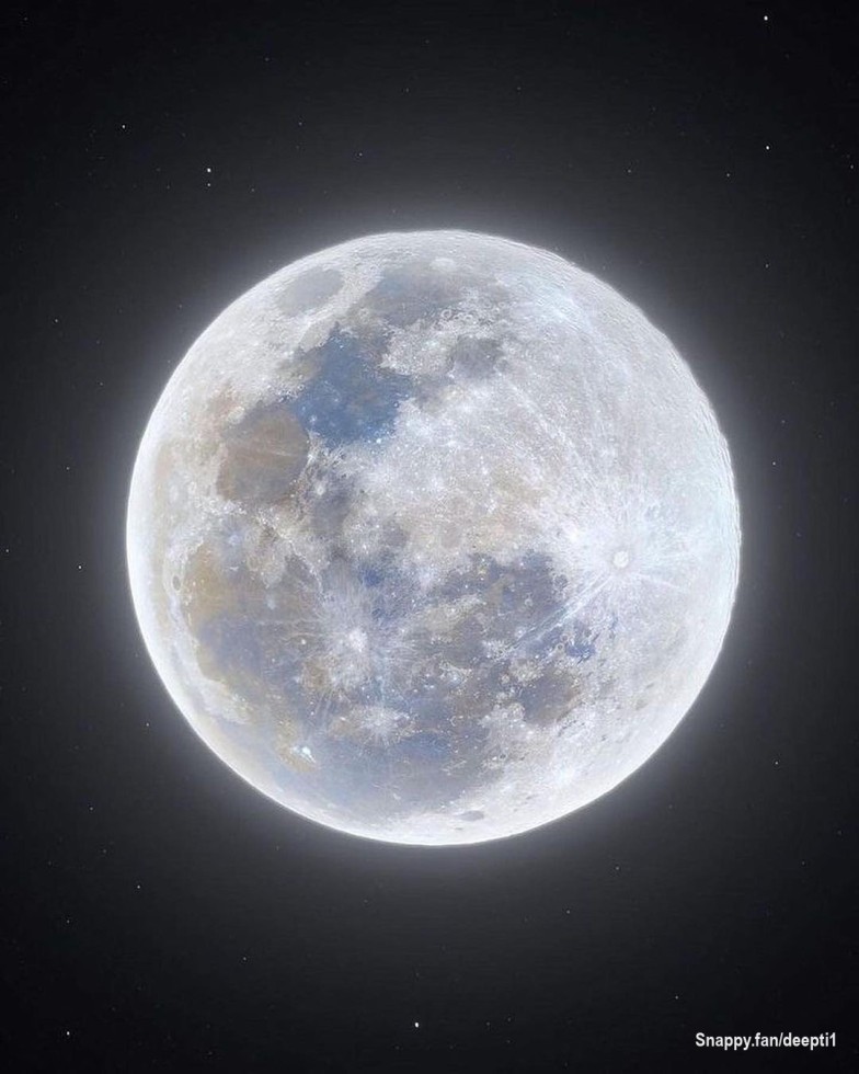 "Captivated by the moon's passionate hue."